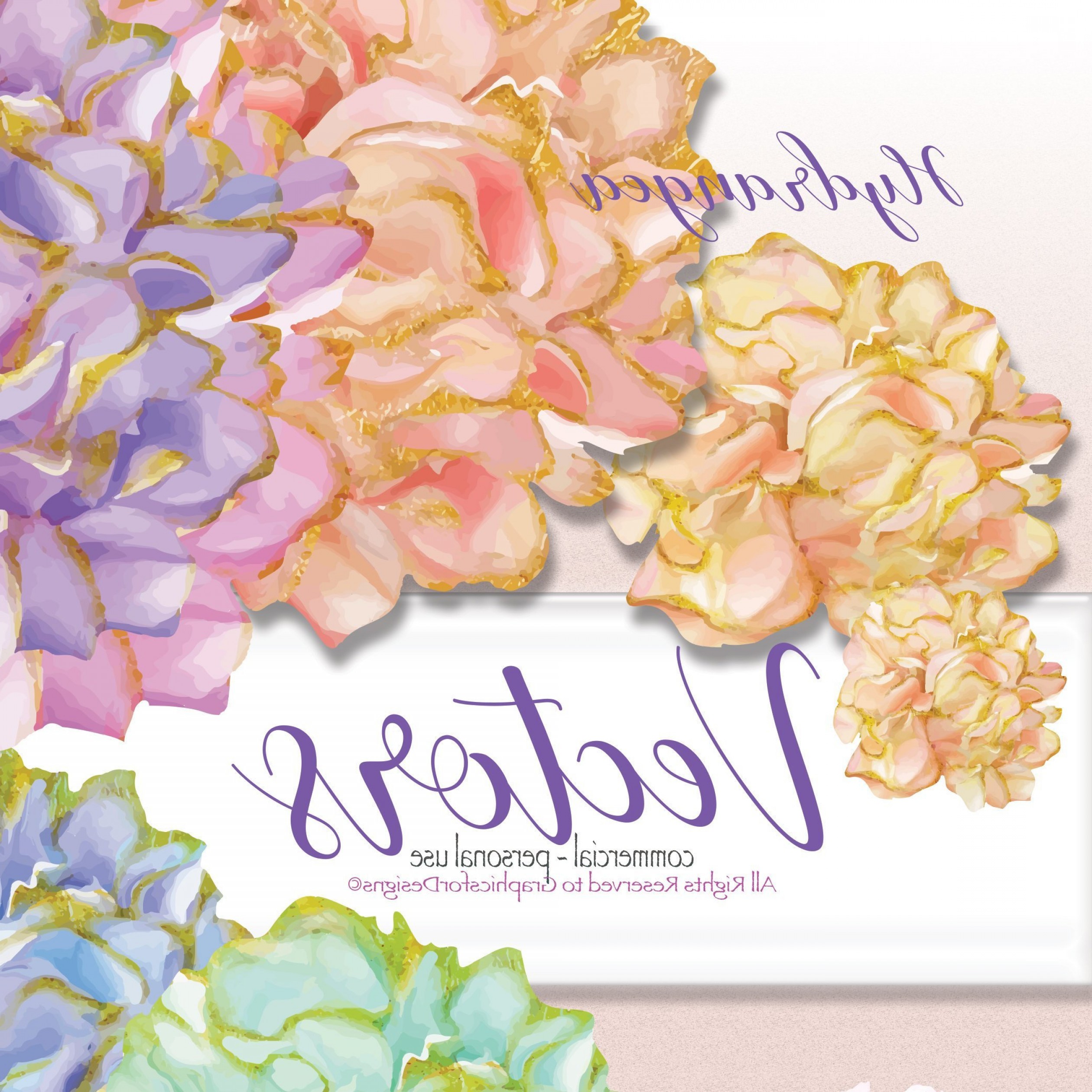 2520x2520 Hydrangea Vector Graphics Iniikim