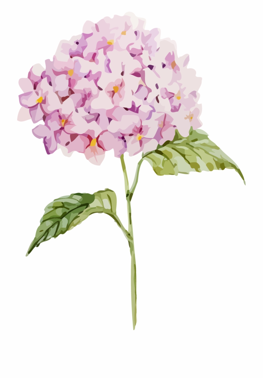 920x1321 Paper Oakleaf Hydrangea Euclidean Vector Clip Art