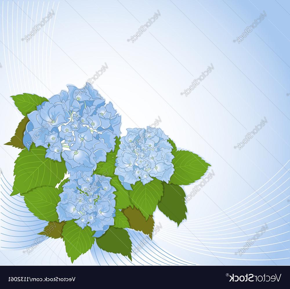 1000x994 Best Hd Hydrangea Vector Design Vector Images Design