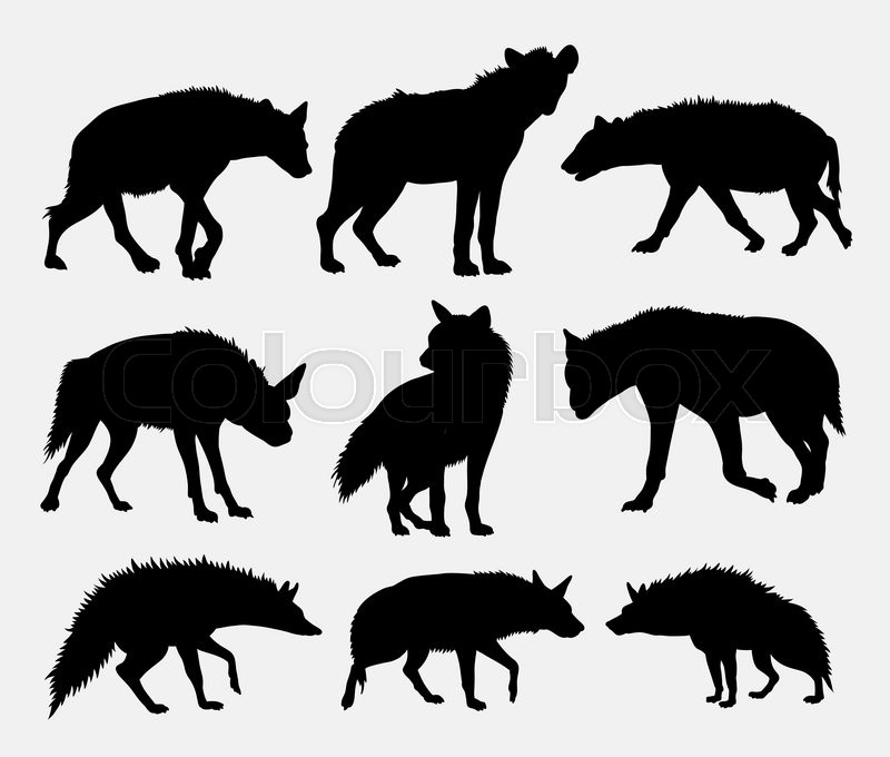 800x680 Hyena Mammal Wild Animal Silhouette Stock Vector Colourbox