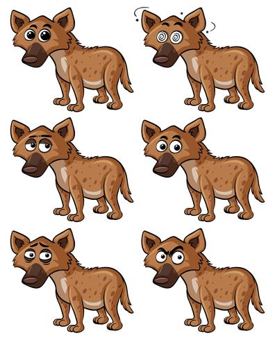 396x490 Hyena With Different Facial Expressions