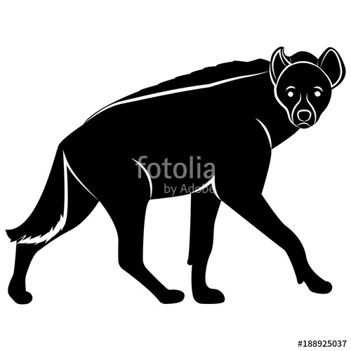 500x500 Vector, Flat Image Of A Hyena On An Isolated White Background
