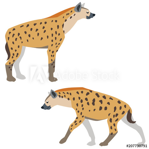 500x500 Vector Illustration Of Standing And Walking Hyenas Isolated