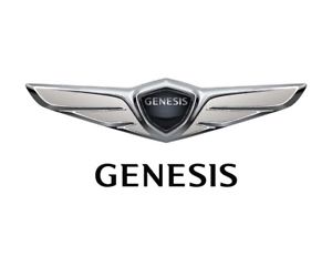 300x231 Hyundai Genesis Car Emblem Logo Vector Vectorized Print Poster
