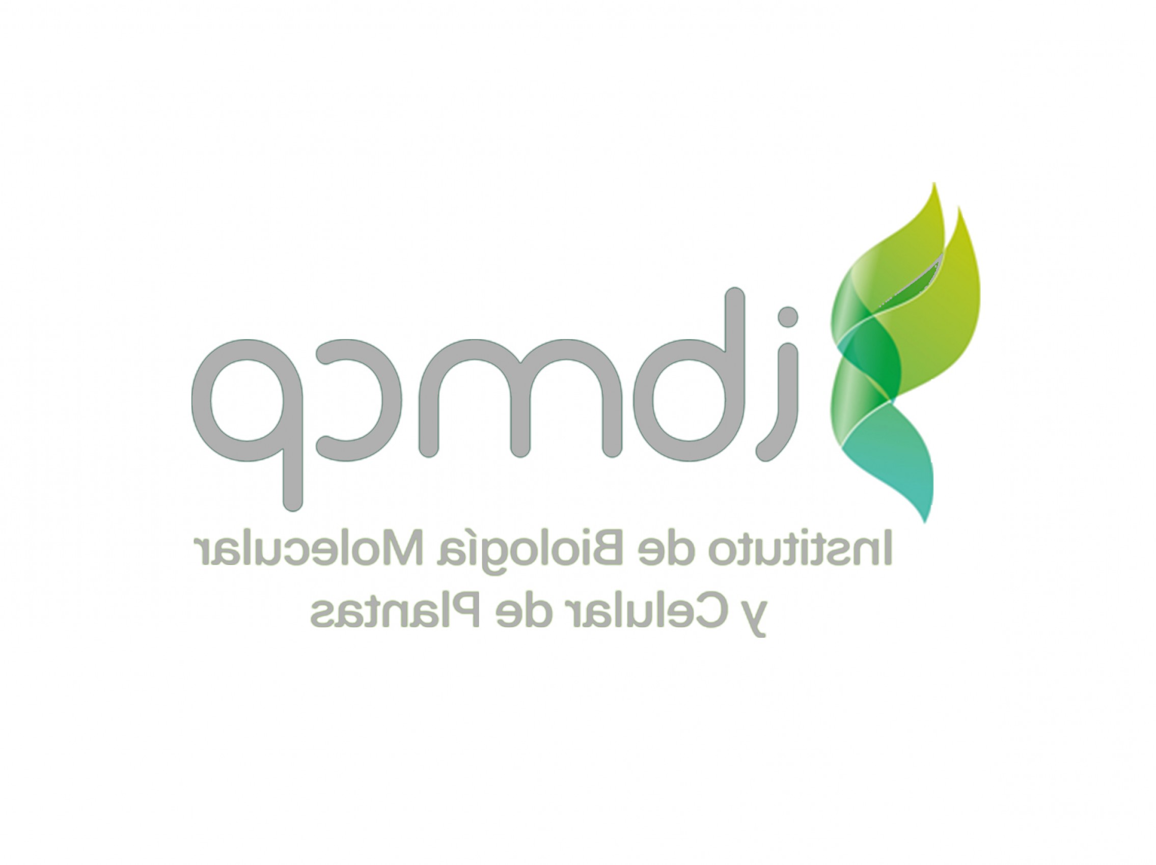 2270x1699 Ibm Logo Vector New Team Valencia Upv Igem Catchsplace