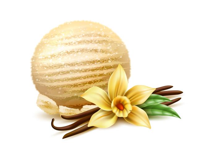 654x490 Realistic Ice Cream Scoop Vanilla Flower