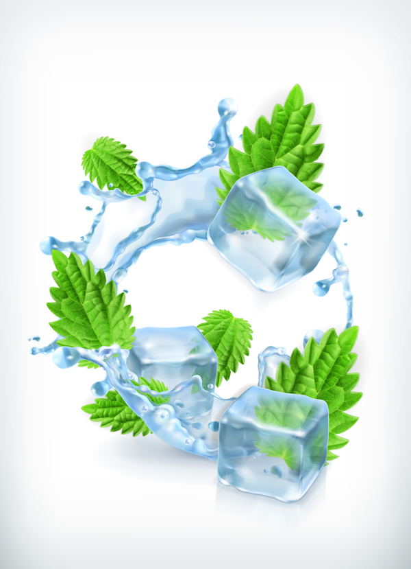 600x829 Mint With Ice Cubes And Water Splash Vector Free Download