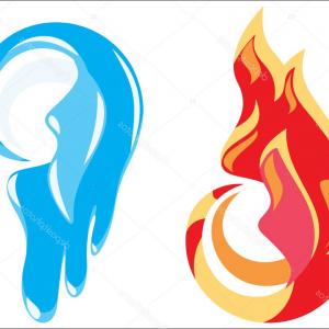 300x300 Catamart Creative Vector Illustrator