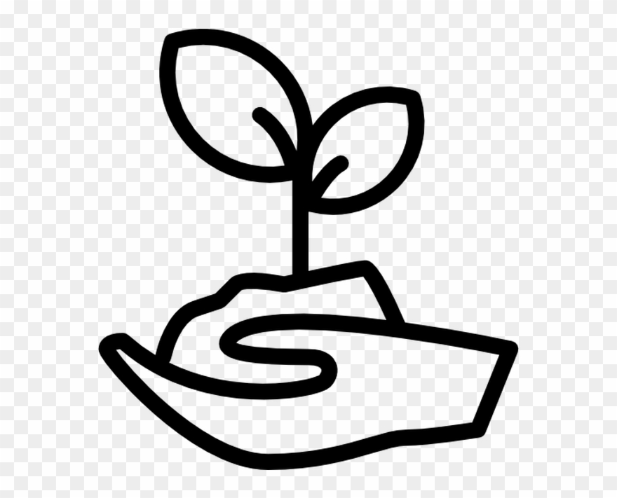 Sprout Free Vector Icons Designed 880x711 Sprout Free Vector Icons Designed