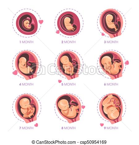 Desarrollo, Iconos, Plano, Infographic, Vector 450x470 Desarrollo, Iconos, Plano, Infographic, Vector