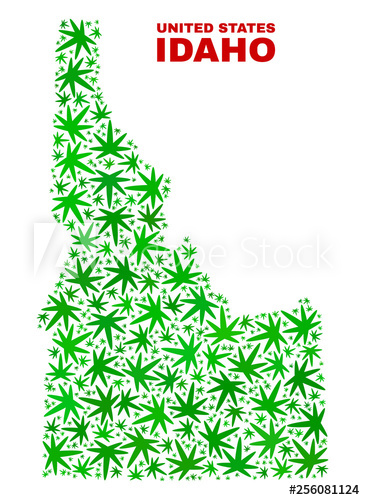 365x500 Vector Marijuana Idaho State Map Mosaic Template With Green Weed