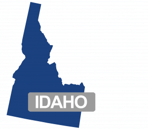 300x263 Idaho Vector State