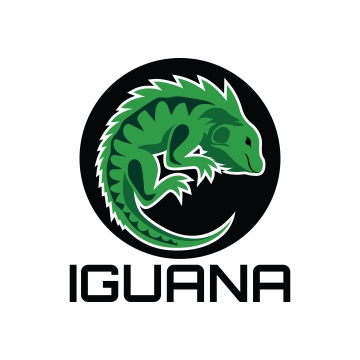 360x360 Iguana Png, Vector, And Clipart With Transparent Background