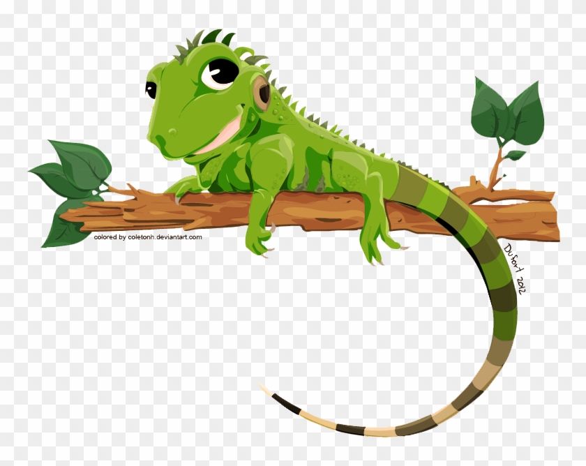 840x668 Iguana Png Transparent Image