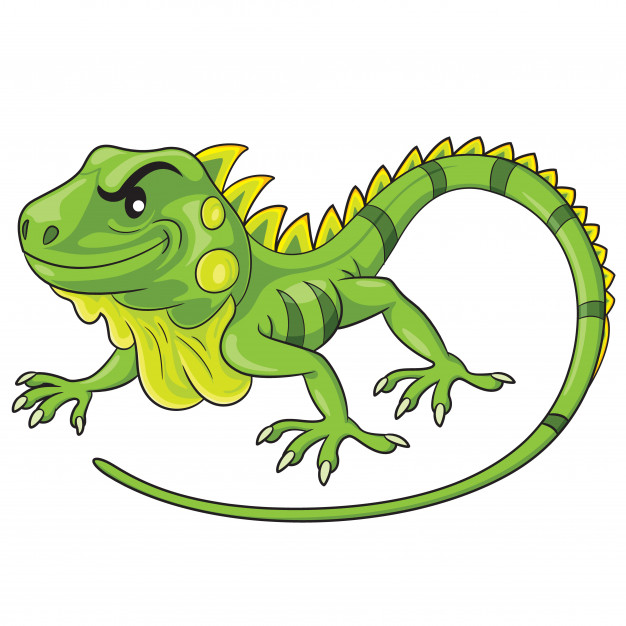 Iguana Vector At Vectorified.com 