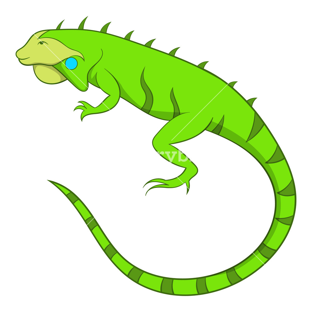 Iguana Vector at Vectorified.com | Collection of Iguana Vector free for ...