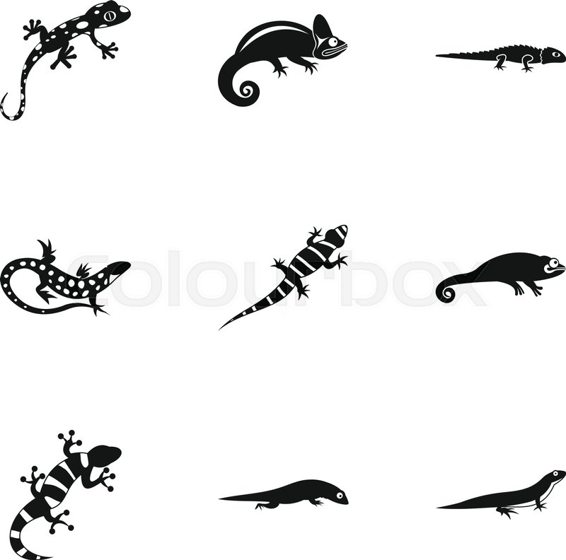 800x792 Iguana Icons Set Simple Illustration Stock Vector Colourbox