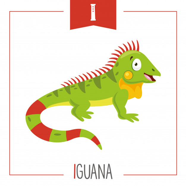 626x626 Illustration Of Alphabet Letter I And Iguana Vector Premium Download