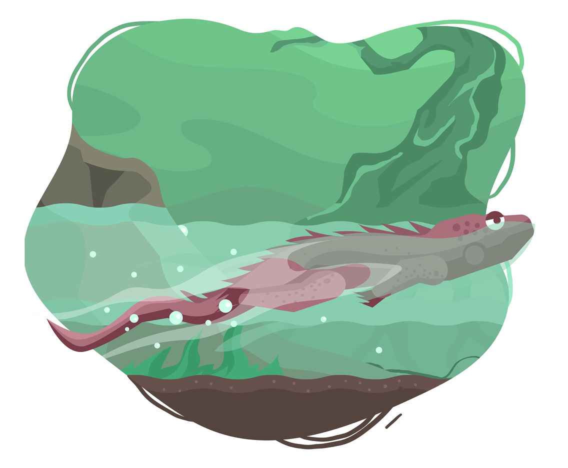 1136x936 Marine Iguana Vector Vector Art Graphics