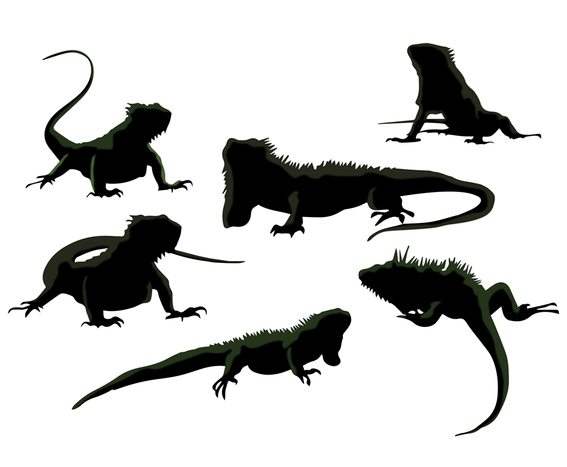 1136x936 Silhouette Iguana Vectors Vector Art Graphics