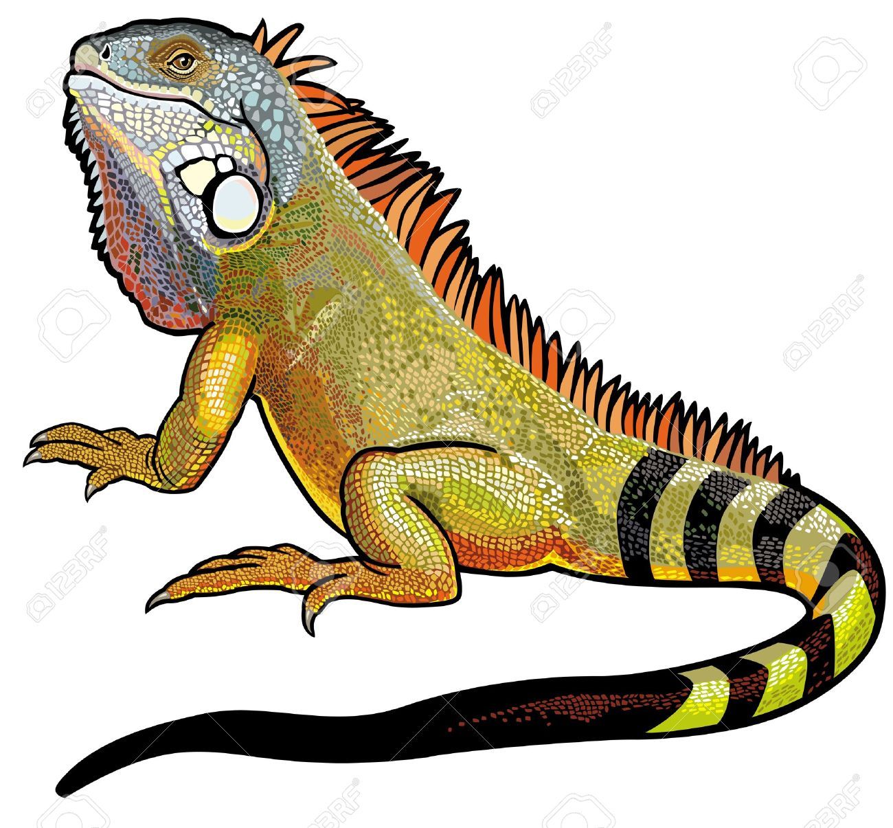 1300x1205 Stock Vector Dog Green Iguana, Snake Art, Amazon Animals