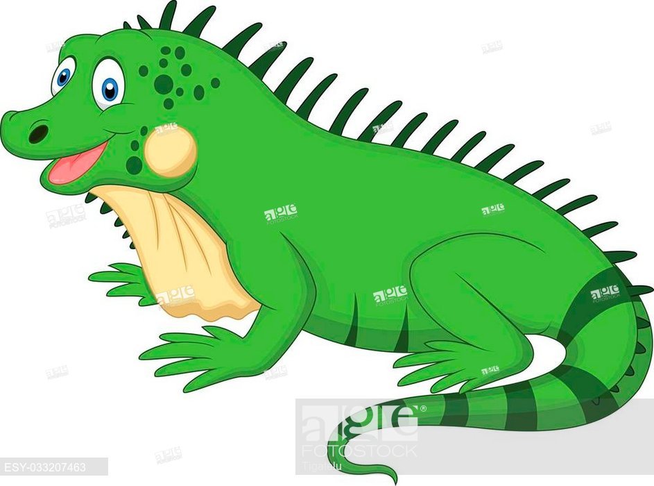 943x700 Vector Illustration Of Cute Iguana Cartoon, Stock Vector, Vector