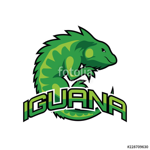 Iguana Vector at Vectorified.com | Collection of Iguana Vector free for ...