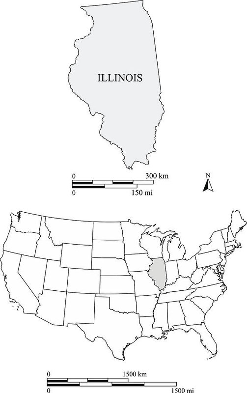 Illinois State Of Us Map Vector Outlines With Scales Of Miles 503x800 Illinois State Of Us Map Vector Outlines With Scales Of Miles