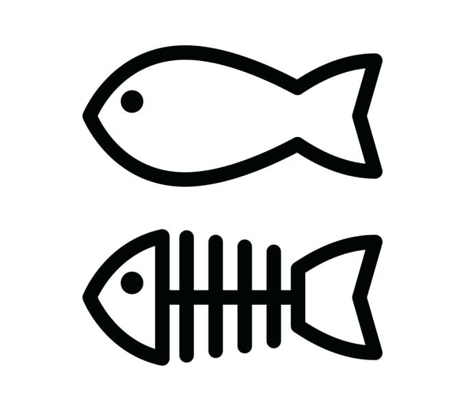678x600 Simple Fish Outline Simple Fish Outline Fish And Skeleton Simple
