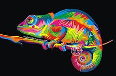 235x155 Las Mejores De Animales Vectoriales En Animales