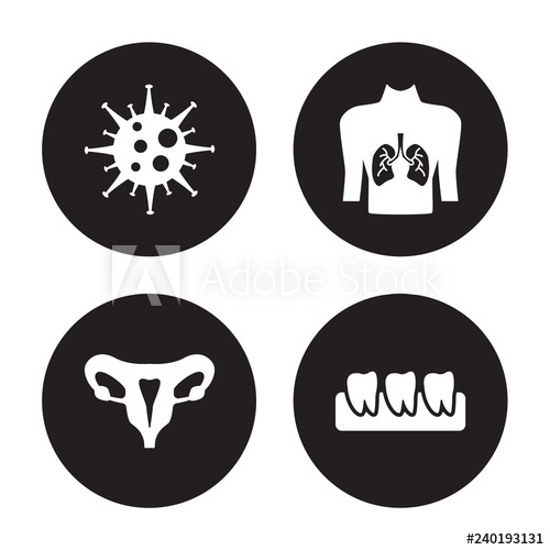 Immune System Vector