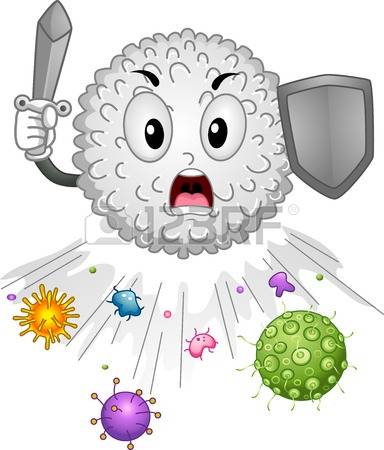 384x450 Immune System Clipart Free Cliparts Download Images