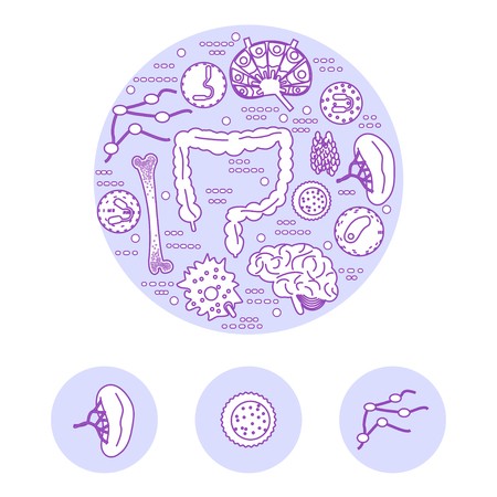 450x450 Immune System Icon Set In A Circle Stock Vector Illustration