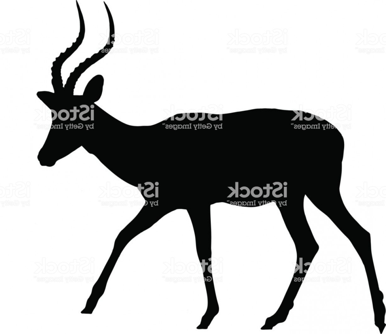 1228x1064 Impala Vector Catchsplace