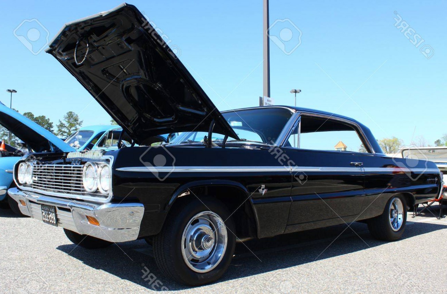 1560x1027 Impala Vector Cultracing