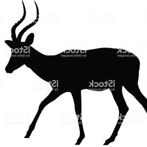 300x300 Chevrolet Impala Door Hard Top Catchsplace