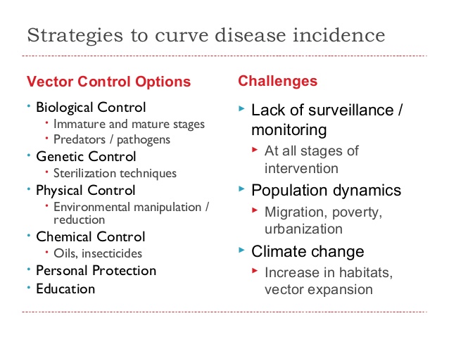 638x479 Vector Borne Disease And Dengue