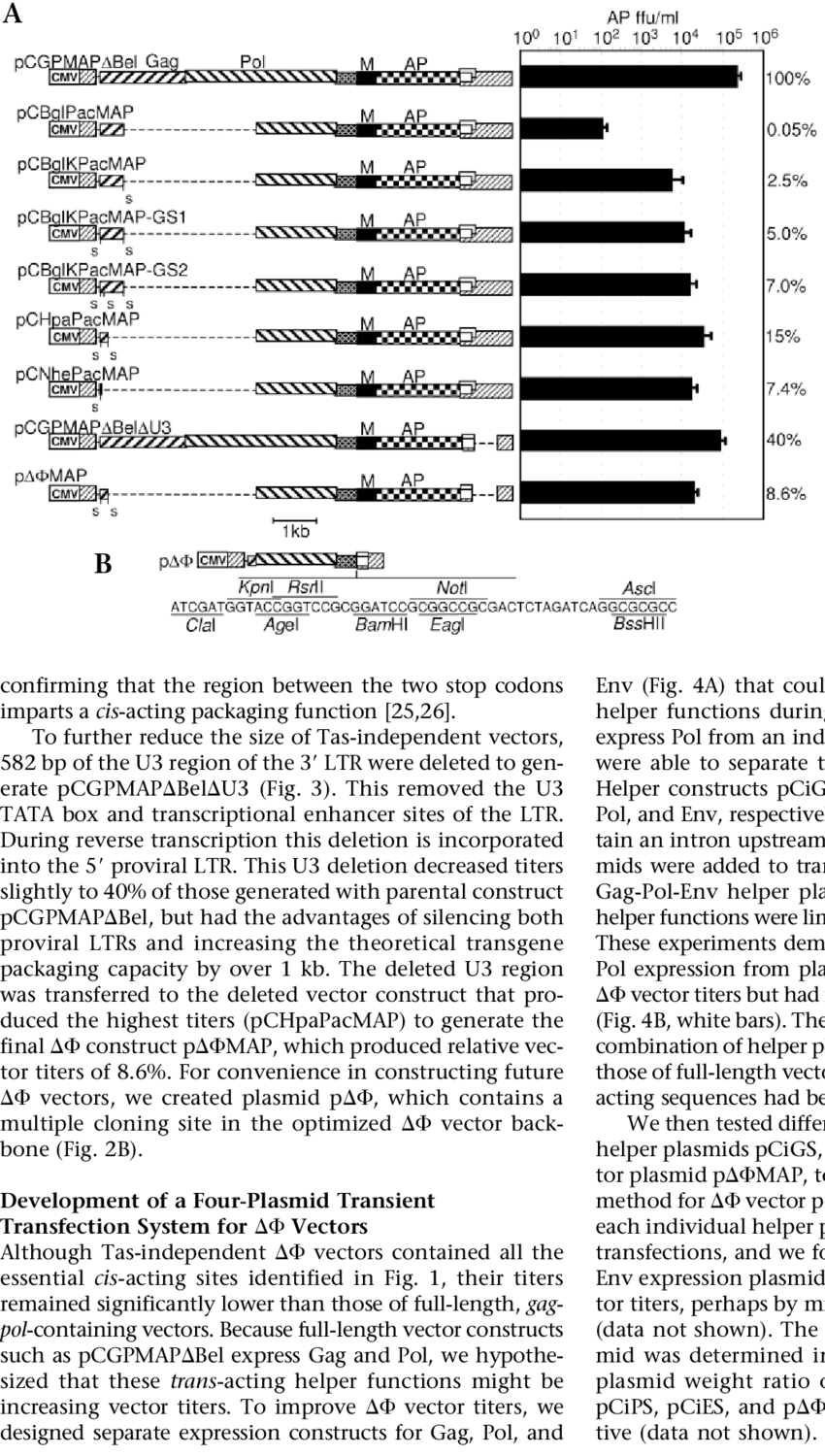 850x1500 Development Of The Vector