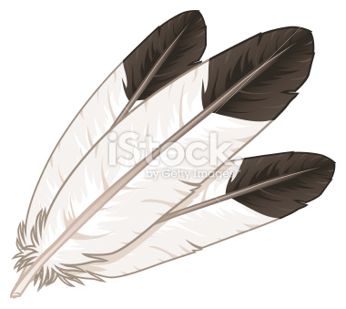 Indian Feather Vector