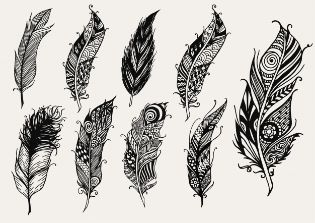 626x442 Feathers Vectors, Photos And Free Download