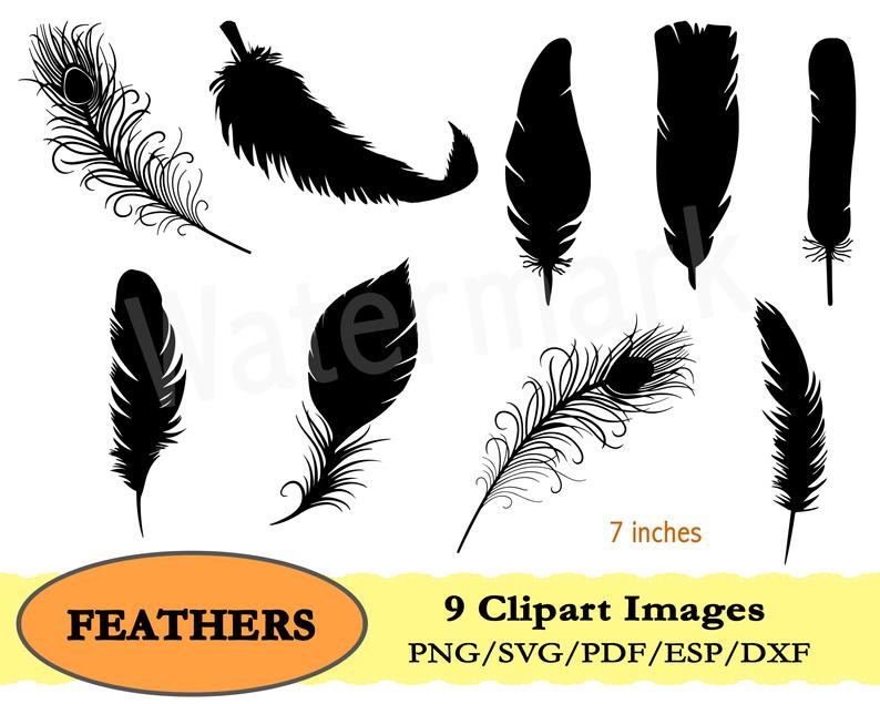 Indian Feather Vector at Vectorified.com | Collection of Indian Feather ...