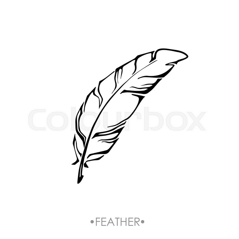 800x800 Boho Feather Hand Drawn Effect Vector Stock Vector Colourbox