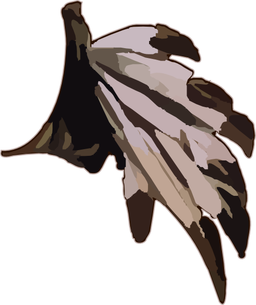 498x595 Native Indian Feathers Clip Art