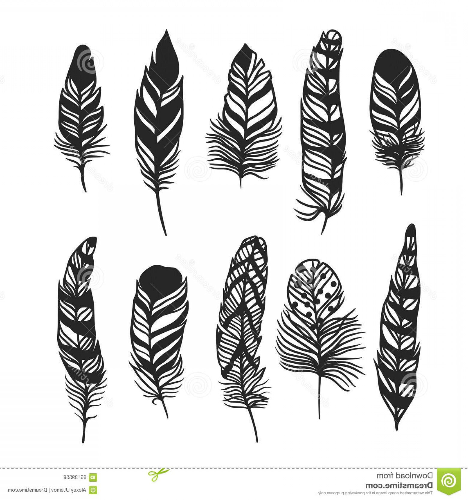 Indian Feathers Vector at Vectorified.com | Collection of Indian ...