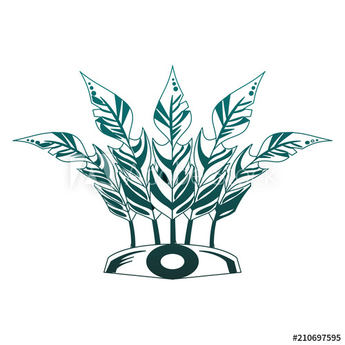 500x500 Indian Feathers Crown Vector Illustration Graphic Design