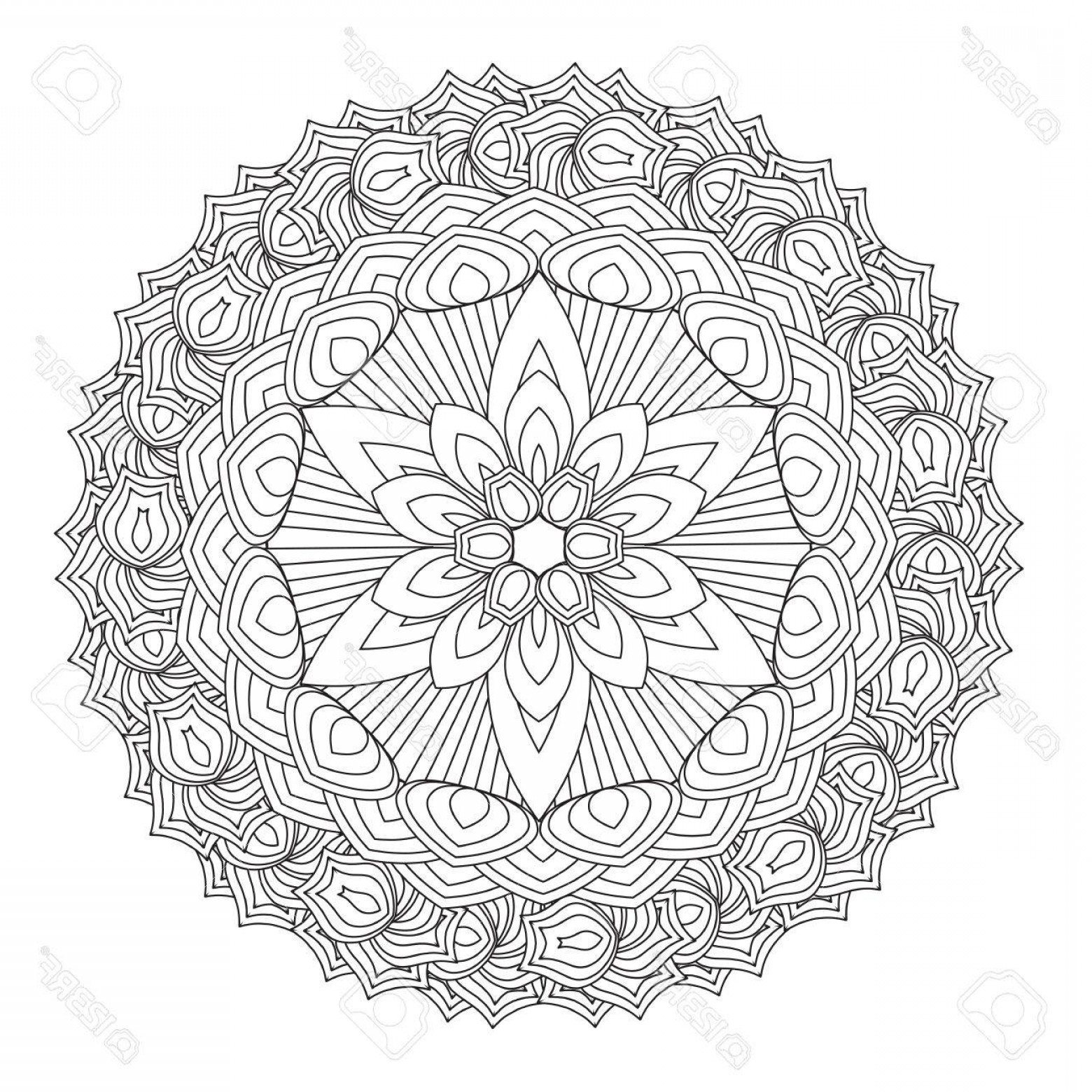Photostock Vector Flower Mandala Vector Illustration Oriental 1560x1560 Photostock Vector Flower Mandala Vector Illustration Oriental