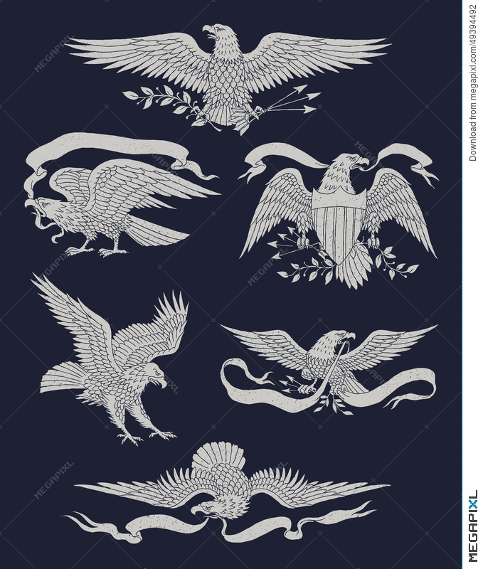 One Color Indian Skull Vector Illustrationhand Drawn Vintage Eagle 679x800 One Color Indian Skull Vector Illustrationhand Drawn Vintage Eagle