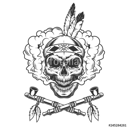 500x500 Vintage Indian Warrior Skull With Feathers Stock Image