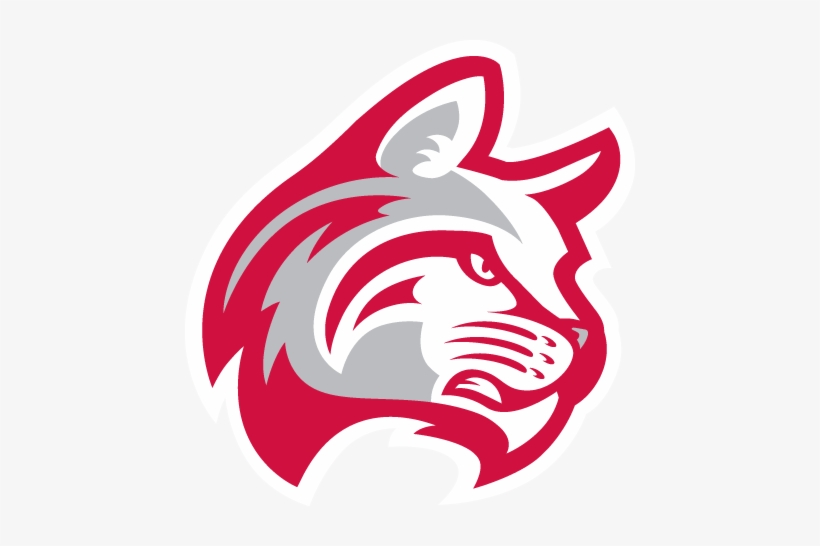 Featured Wildcat Logo 820x546 Featured Wildcat Logo