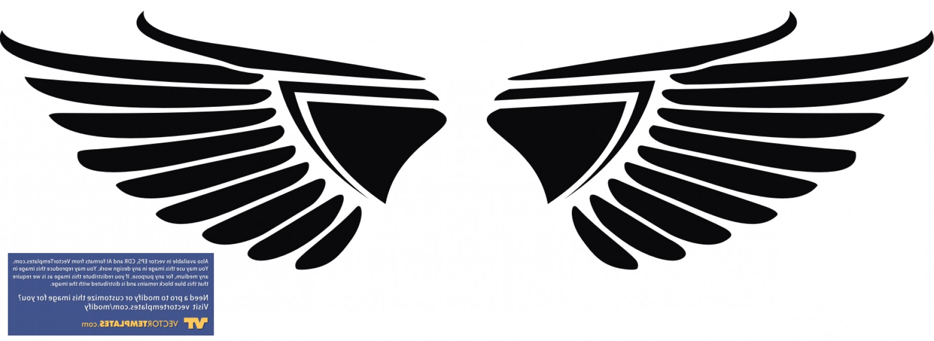 Photography Logo Vector Free Download Png Createmepink 1844x674 Photography Logo Vector Free Download Png Createmepink